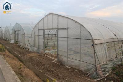 China Groenhuis met een enkele spanning voor de groei en bescherming van planten Te koop