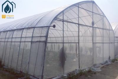 China OEM Easily Assembled Tunnel Greenhouse Small Vegetables Farming Greenhouse for sale