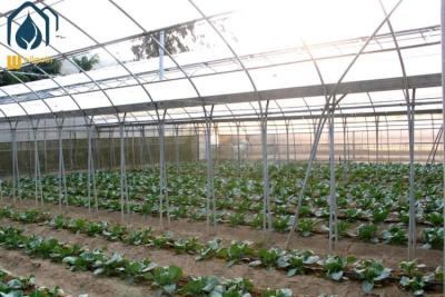 China Agriculture Multi Span Poly Tunnel Greenhouse Environment Friendly For Vegetables for sale