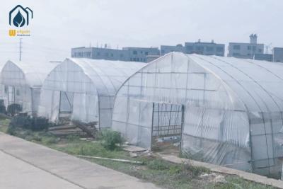 Chine Serre galvanisée à chaud à haute galerie de tuyaux Serre agricole personnalisable à vendre