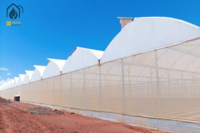 China Energy Efficient Tropical Multispan Greenhouse With Temperature And Humidity Regulation for sale