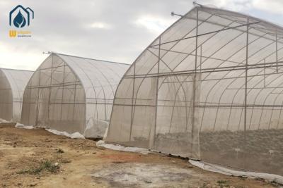 China Commercial Large Agricultural Greenhouse UV Film Vegetable Hydroponic Greenhouse for sale