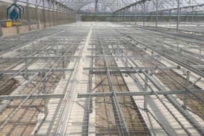 China Agricultura Estufas Cloreto de sementes Bancos de rolagem Mesas de cultivo Malha soldada Galvanizado à venda