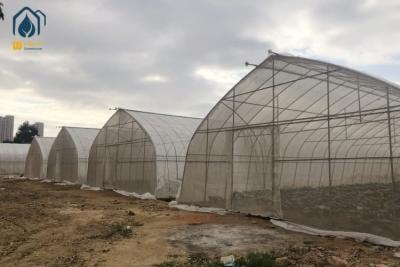 China PE PO Film Tunnel Greenhouse Commercial Agricultural Greenhouse Customizable for sale