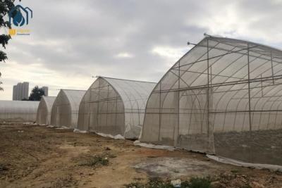 China Casa de aço inoxidável Sigma Hoop Estufas com sistema de cultivo hidropônico à venda