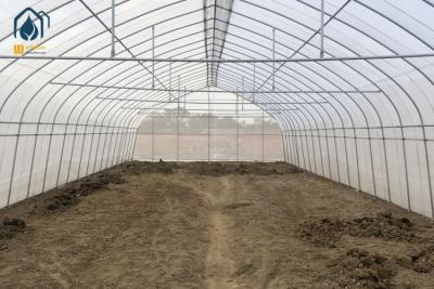 China Commercial Agriculture High Tunnel Green Houses Single Span Metal Frame Greenhouse for sale