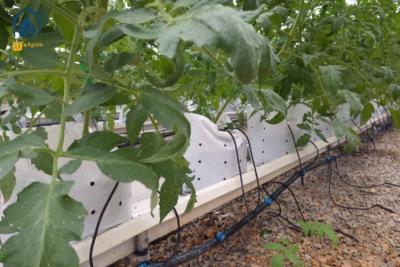 China Vertical Planting PVC Substrate Grow Gutter Hydroponic Pepper Tomato Plant Trough for sale