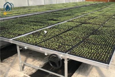 China Tela de cultivo de semillas de malla metálica galvanizada para la agricultura en venta