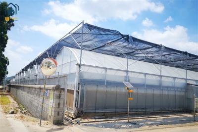 China Commercial Multi Span Plastic Agricultural Greenhouse With Polyethylene Cover for sale