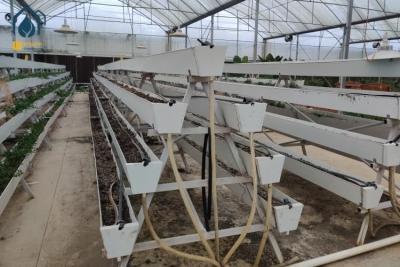 China Modern Agricultural Strawberry Growing Troughs Greenhouse PVC Hydroponic Grow Equipment for sale