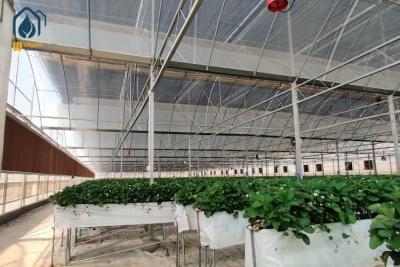 China Grandes canales de cultivo hidropónico de PVC canaletas de cultivo de fresa fácil de instalar en venta