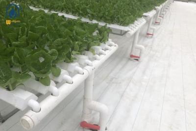 China Customized Hydroponic NFT Pipe Greenhouse Flat PVC Tube Hydroponic Systems for sale