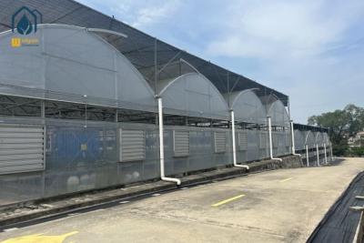 China Organic Farming Multi Span Greenhouse Large Commercial Greenhouses for sale