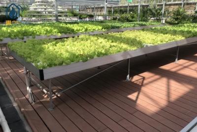 China Agricultural Ebb Flood Rolling Bench Indoor Farming Grow Tables For Greenhouse for sale