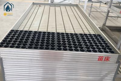 China Commercial Ebb And Flow Rolling Benches Hydroponics Greenhouse Growing Trays for sale