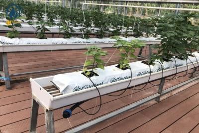 China Sistema hidropónico de cultivo de alcantarillado para plantas de sustrato vertical de PVC NFT para tomates en venta