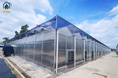 China Crop Growth Polycarbonate Greenhouse With Snow Resistant Aluminum Frame for sale