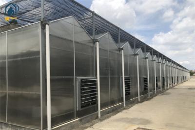 China Op maat gemaakte polycarbonaatpaneelkas Groentehuis Te koop