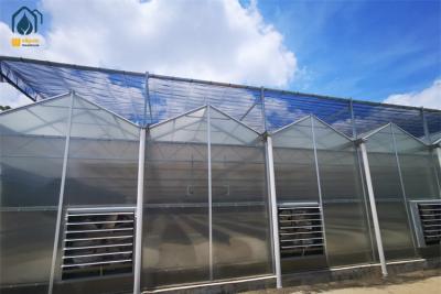 China Hochleistungslandwirtschaft Polycarbonat Gewächshaus Obst und Gemüse Gewächshaus zu verkaufen