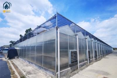 China Rust Resistant Polycarbonate Greenhouses For Herb Cultivation And Hydroponics System for sale