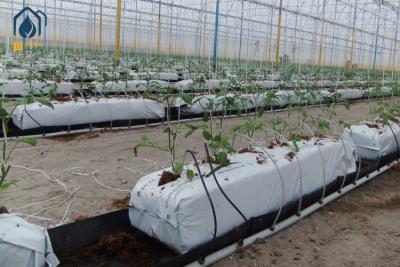 China Rectangular Hydroponic Soilless Growing Trough PP Roll Drainage Gutter System Planting for sale