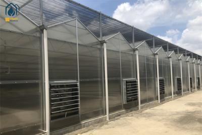 China Commercial Herb Cultivation Polycarbonate Green House For Organic Vegetable Farming for sale