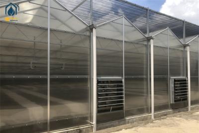 China Organic Herb Greenhouse Polycarbonate Polyhouse With Automated Climate Control Systems for sale