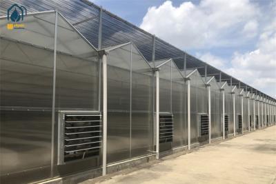 China Heavy Duty Polycarbonate Polyhouse Greenhouse Customizable For Reducing Water Usage for sale