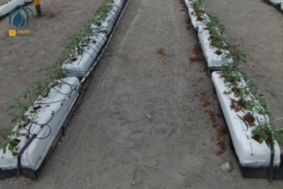 China Hydroponic Nutrients Planting Trough PP Roll Growing Gutter For Tomatoes for sale