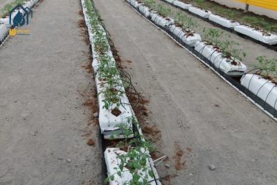 China Frigorífico para plantação de grãos negros PP Roll PP Hydroponic Grow Gutter para agricultura sustentável à venda