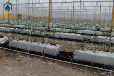 China Hidroponia Plantação Trough PP Roll Drain Spacer Plantar Plantar Folding Gutter Para Agricultura à venda