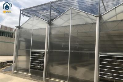 China Organic Crop Farming Polycarbonate Greenhouse Indoor Vegetable Greenhouse for sale