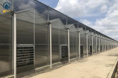 China Indoor Farming Polycarbonat-Gewächshaus für schnell wachsende Pflanzen zu verkaufen