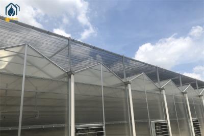 China Double Wall PC Polycarbonate Greenhouse Farming Steel Frame Greenhouse for sale