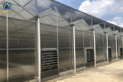 China UV Resistant Twin Wall Polycarbonate Greenhouse Modern Farms Greenhouse for sale