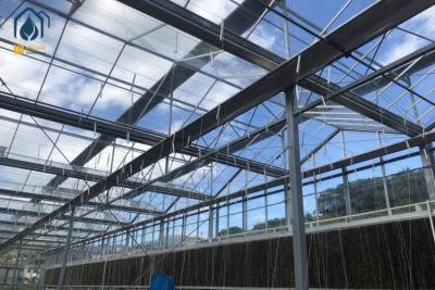 China Multi Span Agricultural Large Glass Greenhouse Production Equipment For Tomato for sale