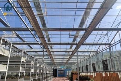 China Hydroponic Transparent Glass Greenhouse For Plants With Ventilation Cooling System for sale