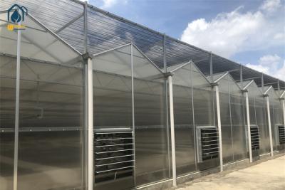 Chine Agriculture commerciale Serres en polycarbonate avec contrôle climatique précis à vendre