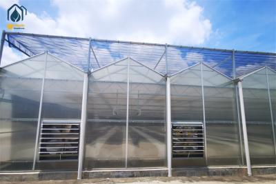 China Steel Frame Large Polycarbonate Greenhouse With Precision Climate Control for sale