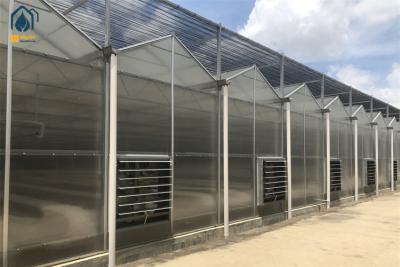 China Heavy Duty Smart Cultivation Polycarbonate Greenhouse Automated Hydroponic Greenhouse for sale