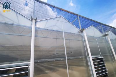 China Large Agricultural Tunnel PC Greenhouse Polycarbonate Vegetable Growing Greenhouse for sale