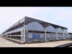 Agricultural Multi Span Strawberry Green House Plastic Shed Tomato Tunnel Greenhouse