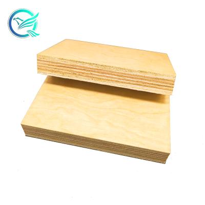 China contemporary 2mm russian commercial plywood birch wood/birch plywood price lists for sale