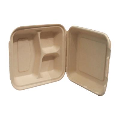 China Feature Modern Bamboo Eco-Friendly Disposable Solid Fiber Color Disposable Lunch Box 3 Compartments With Convenient Square Lid for sale