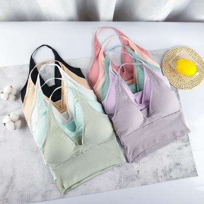 China Anti-pilling Yarn Cotton Back Wrapped Wireless Wrap Tube Bra Halter Vest Chest Hanging Top Vest for sale