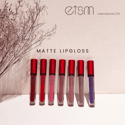 China Matte Gloss Matte Liquid Lipstick for sale