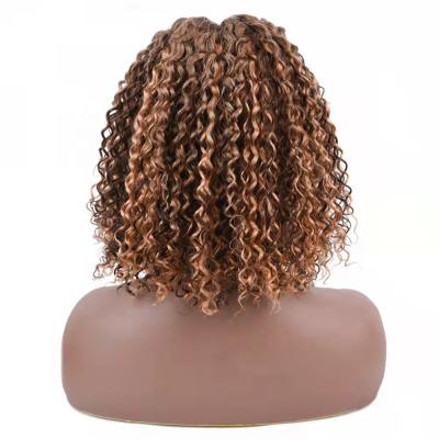 China No Shedding No Tangle No 100% India Hair Lead Wig, Jerry Curly Virgin Hair P4/27 T Part Lace Lead Wigs, Raw Hair T Part Lace Lead Wigs for sale