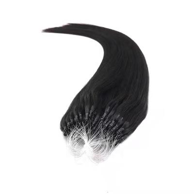 China Soft Hair Factory Direct 100% Russian Hair Straight Natural Black Micro Loop Ring Hair Extension for sale