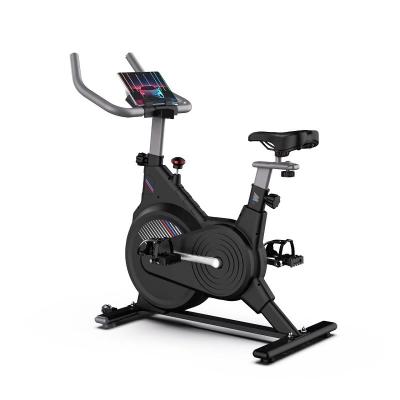 China Home Use Indoor Spinning Bike Silent Aerobic Resistance Bike Home Fitness Equipment for sale