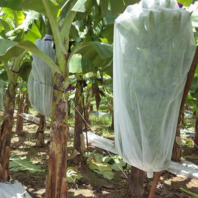 China Sustainable Agriculture Nonwoven Banana Protection Bag Cover with Drawstring, Biodegradable Bags for Banana Grape Pomegranate Fruit, White for sale